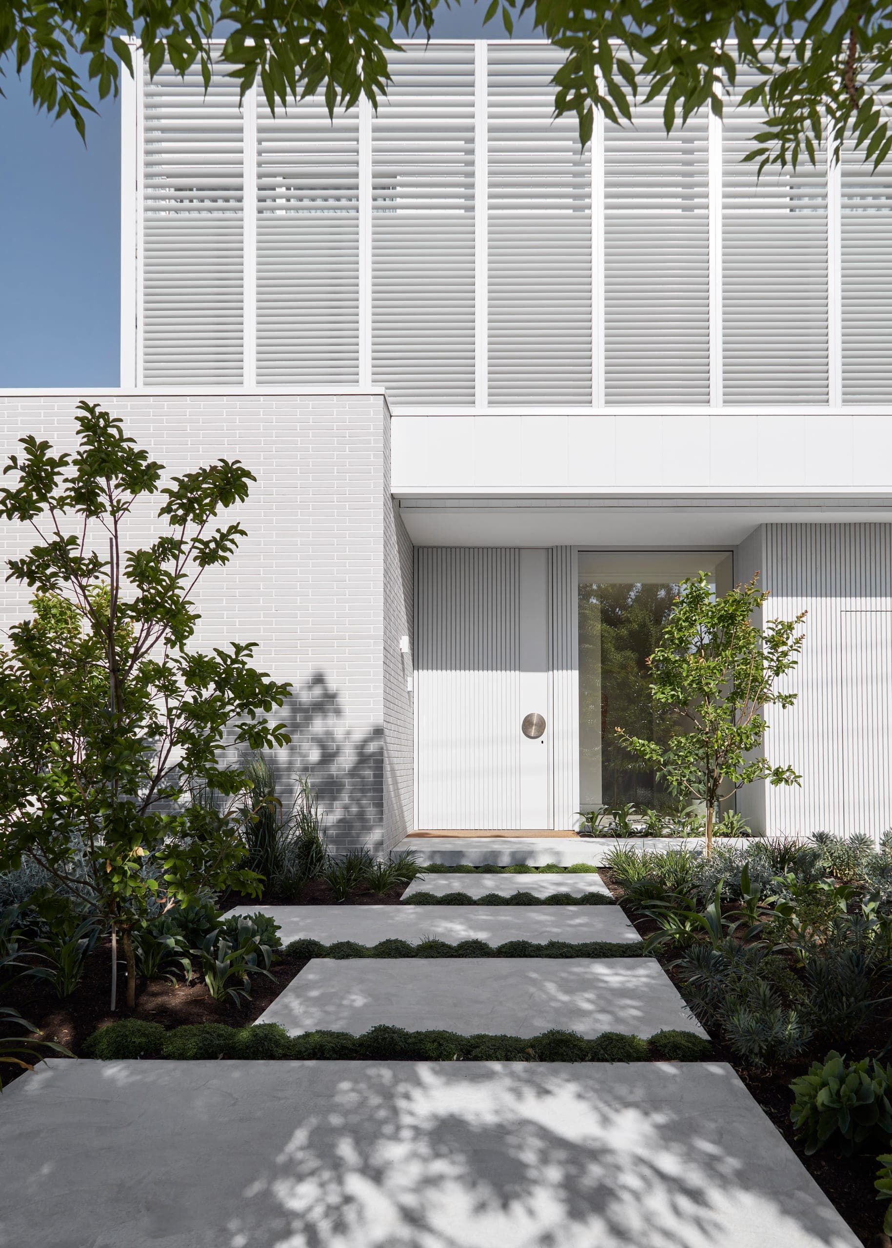 Collis — Brighton, Victoria — Webster Architecture & Interiors