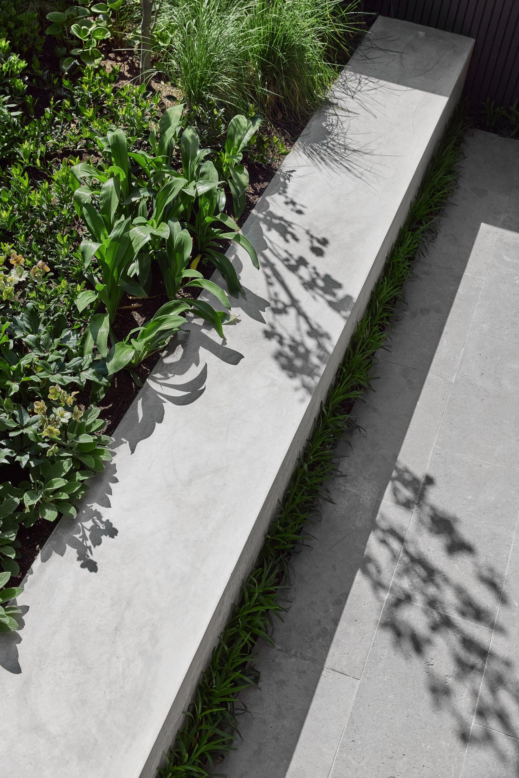 Heide Collective — Heidelberg, Victoria — Webster Architecture & Interiors