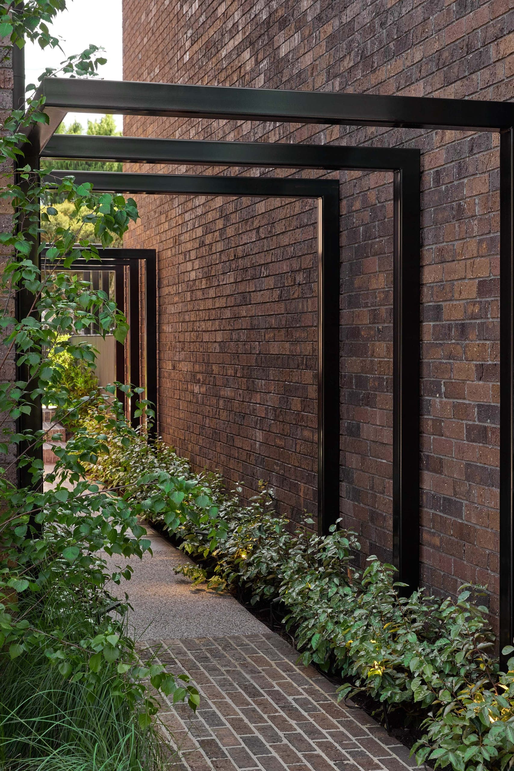Heide Collective — Heidelberg, Victoria — Webster Architecture & Interiors