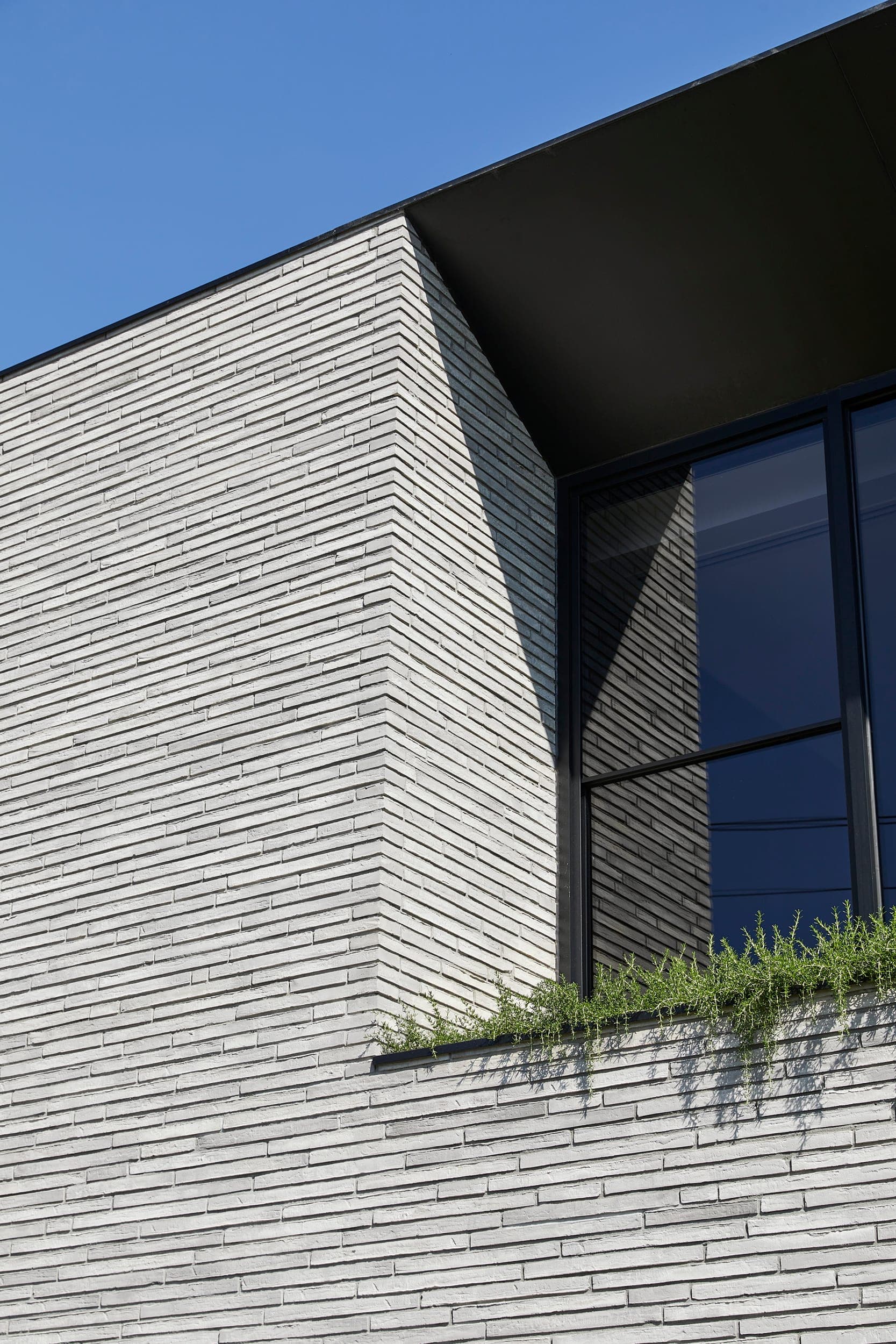 Jennings — Moonee Ponds, Victoria — Webster Architecture & Interiors