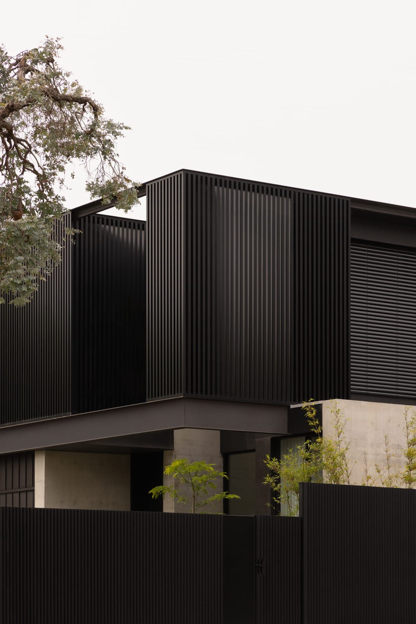 Rosedale — Glen Iris, Victoria — Webster Architecture & Interiors