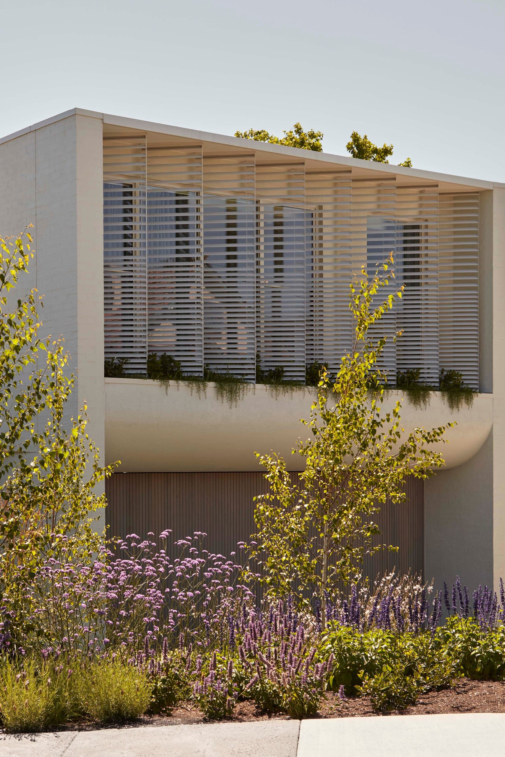 Sargood — Hampton, Victoria — Webster Architecture & Interiors