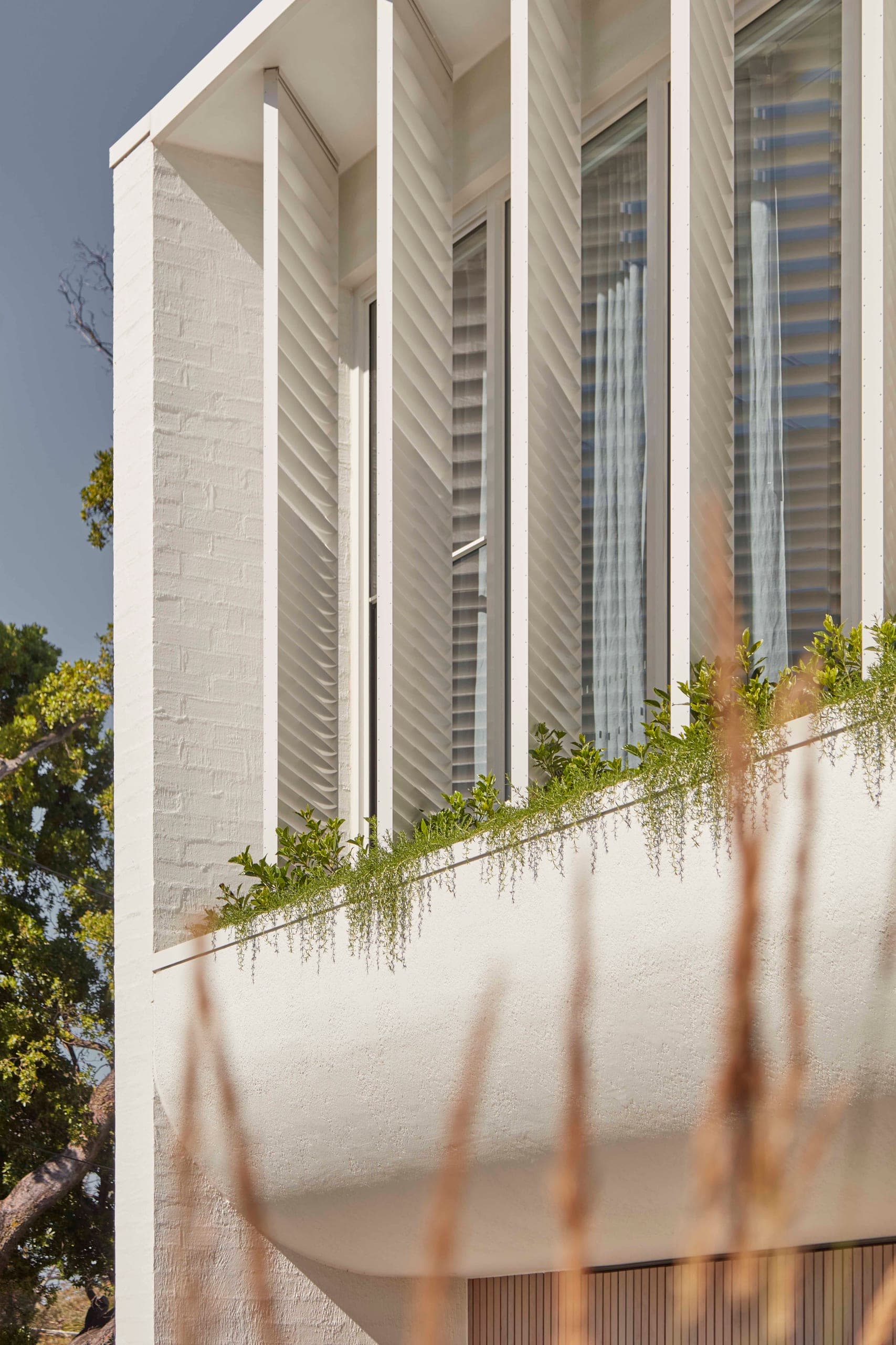 Sargood — Hampton, Victoria — Webster Architecture & Interiors