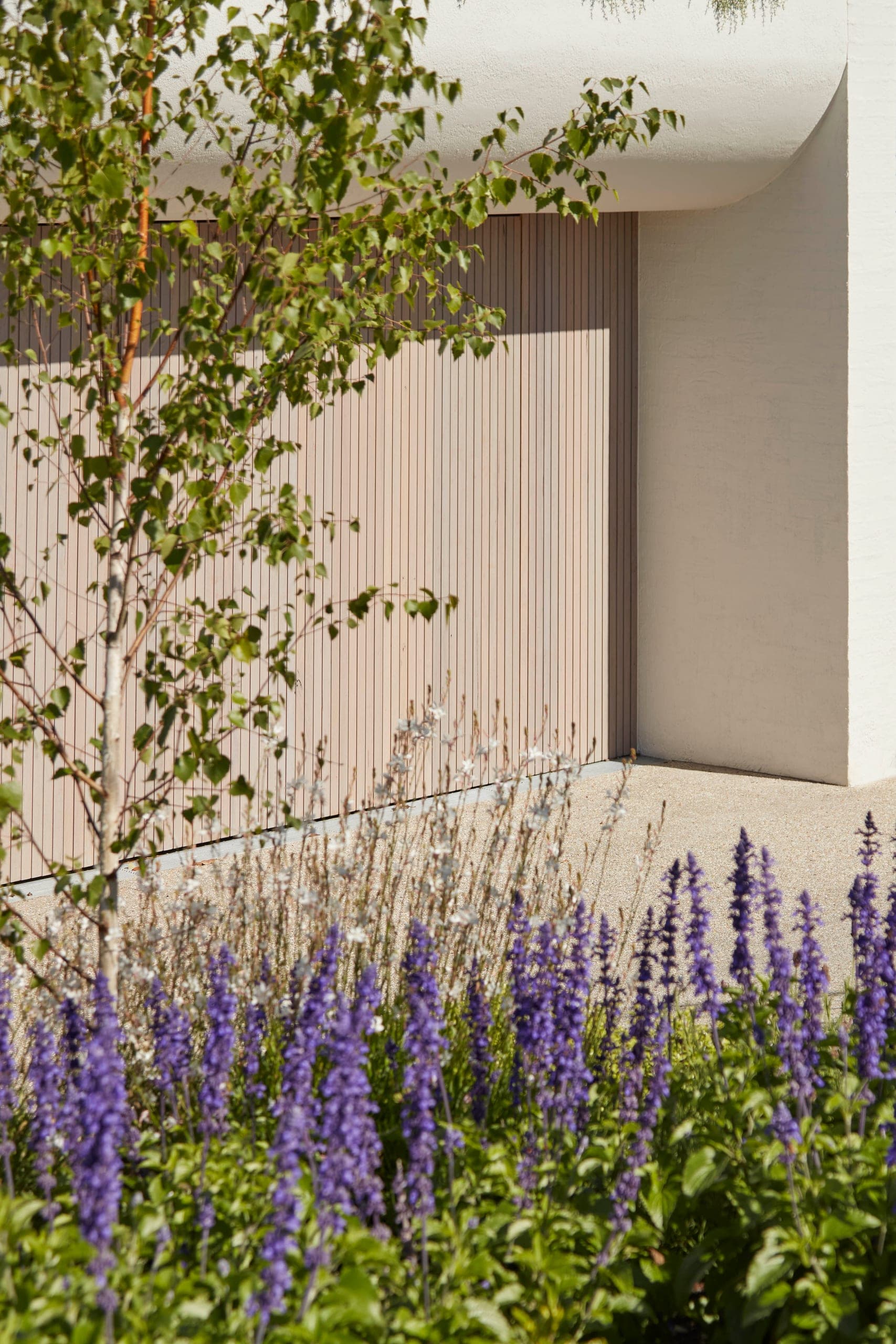 Sargood — Hampton, Victoria — Webster Architecture & Interiors