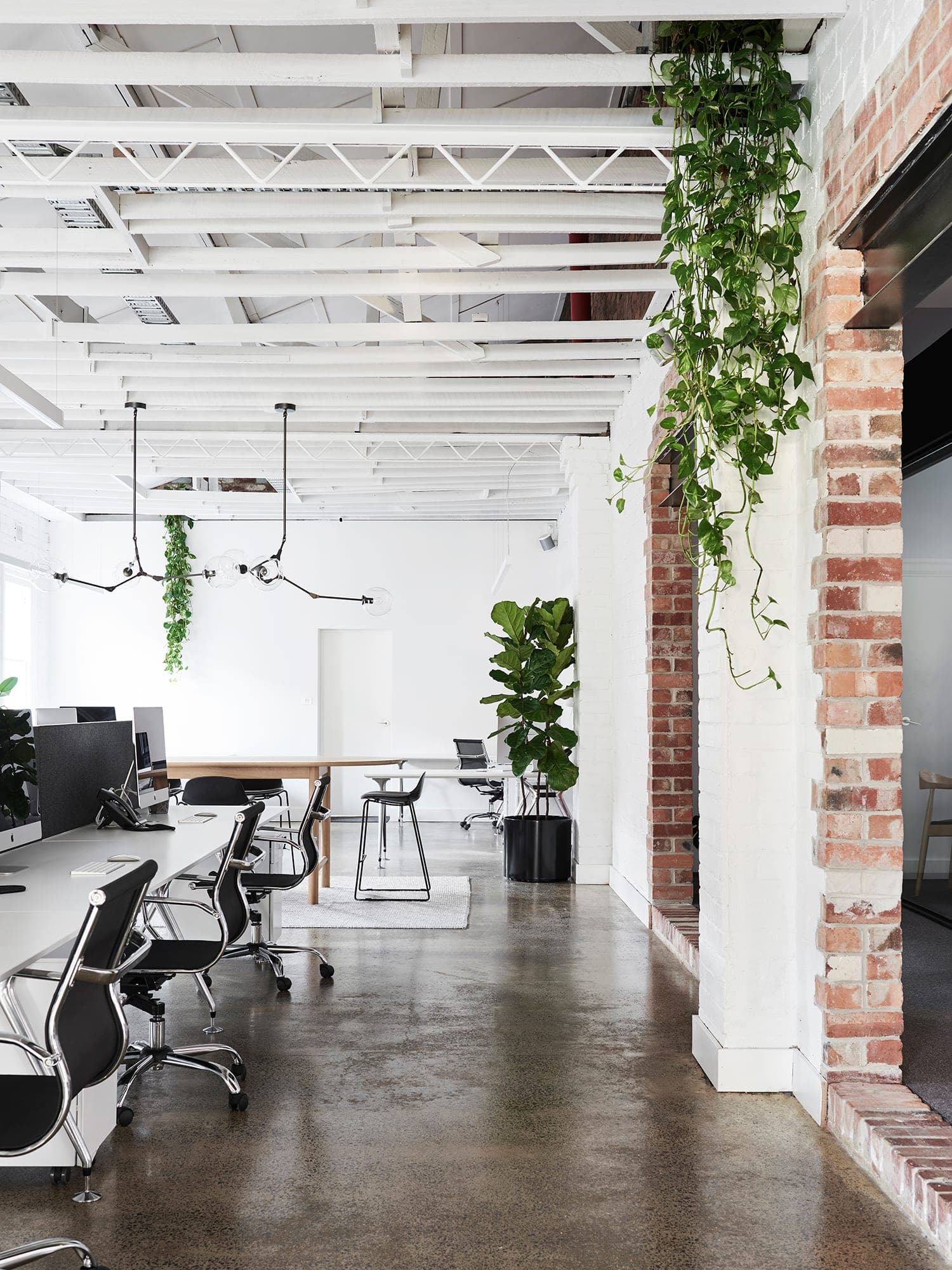 WAI Studio — Hawthorn, Victoria — Webster Architecture & Interiors